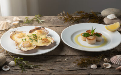 Coquille saint-jacques normande ou bretonne : quelles différences et comment les déguster
